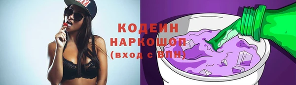 амф Вяземский