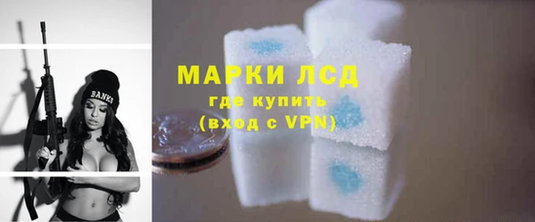 амф Вяземский
