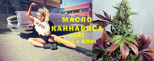 молекула духа Бородино
